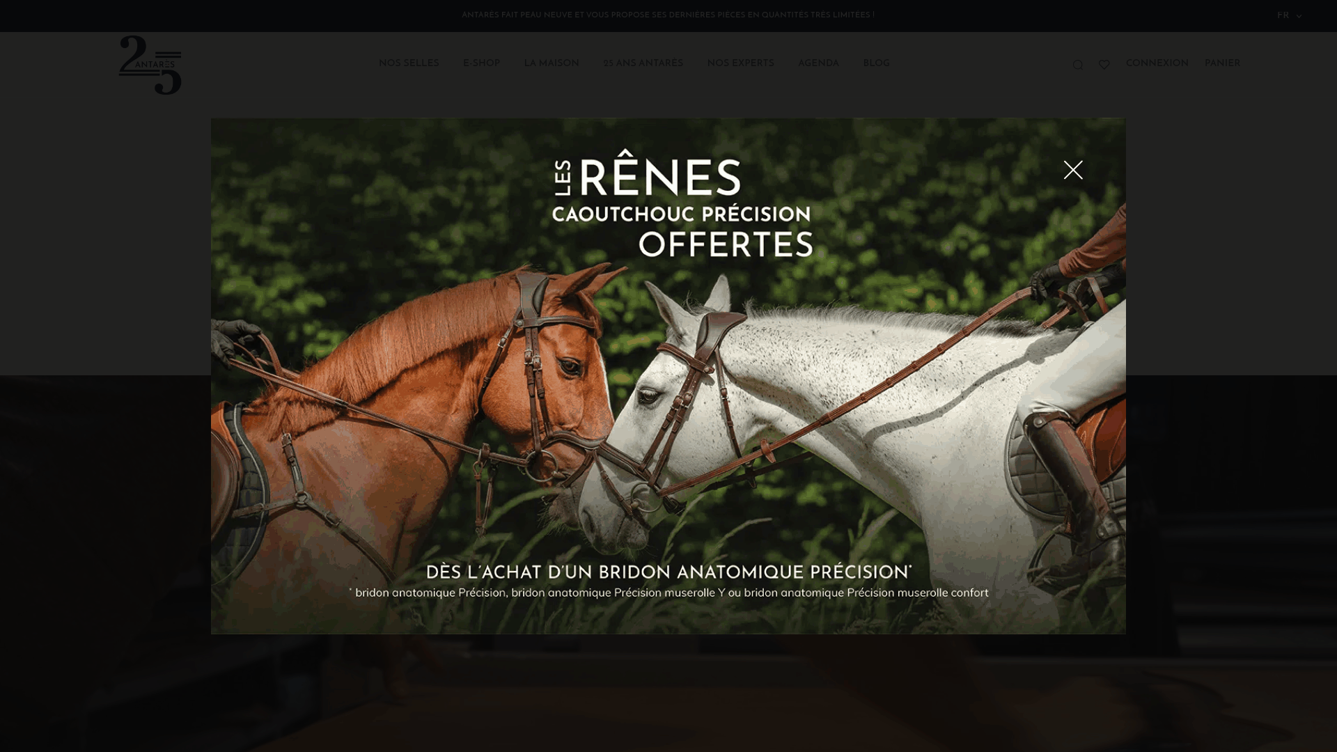 Exemple Prestashop Ethercreation 5