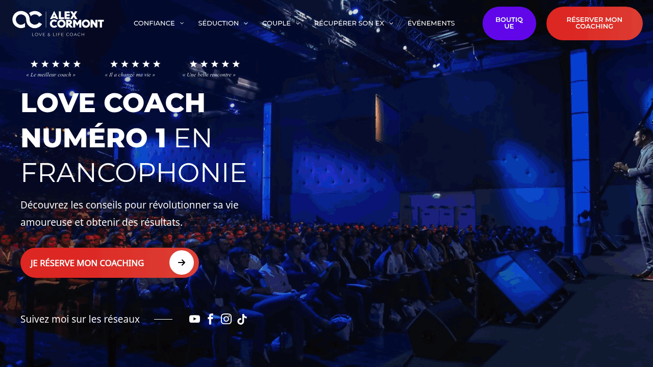 Exemple WordPress Ingenius 3