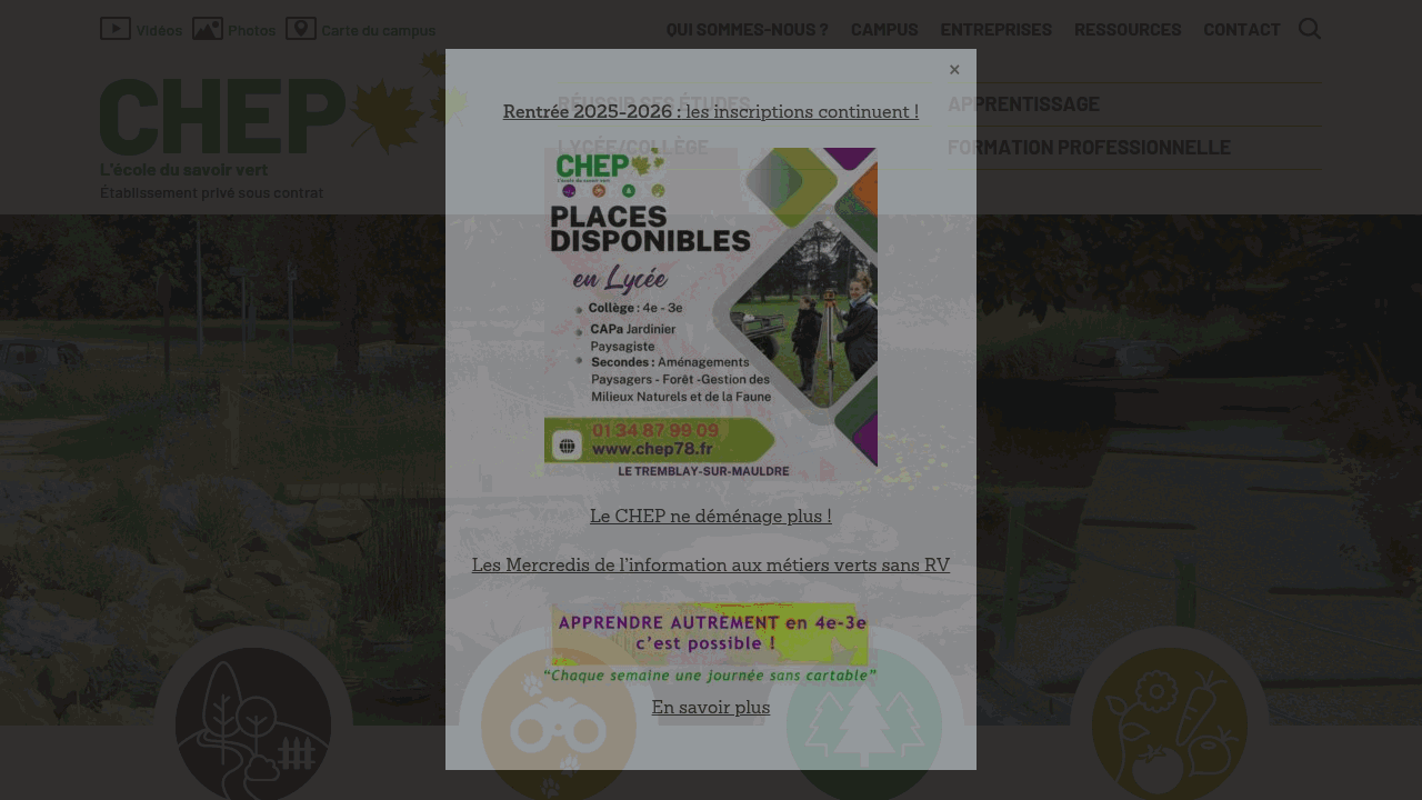 Exemple WordPress WeAreWP 4