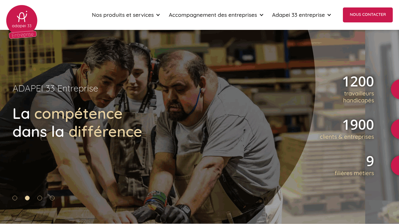 Exemple WordPress Youdemus 5